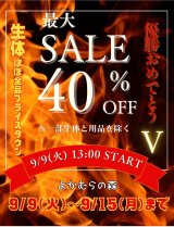 優勝セール終了のお知らせ！！