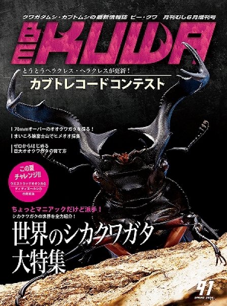 画像1: BE-KUWA No.９５　カブトレコード大特集!! (1)