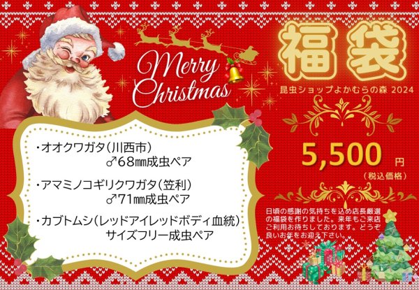 画像1: ■ネット限定■福袋5,500円（12月7日10時販売開始） (1)