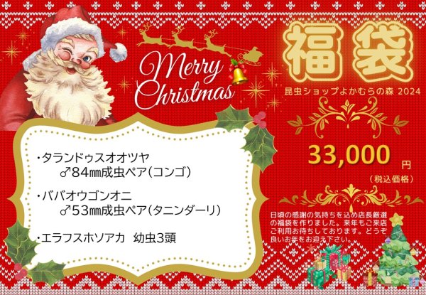 画像1: ■ネット限定■福袋33,000円（12月7日10時販売開始） (1)