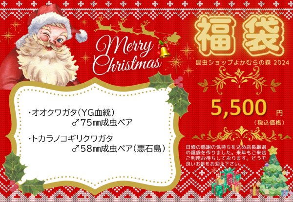 画像1: ■ネット限定■福袋5,500円（12月7日10時販売開始） (1)