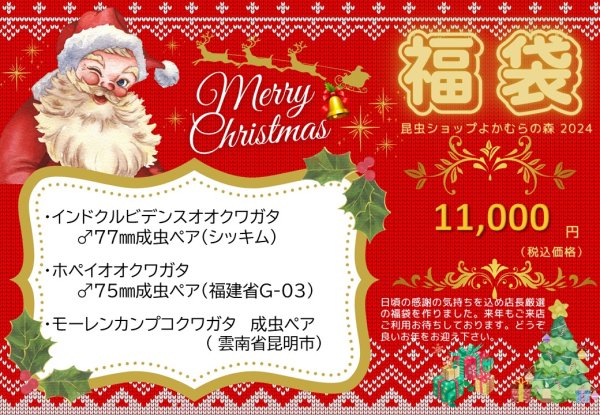 画像1: ■店舗限定■福袋11,000円（12月7日10時販売開始） (1)