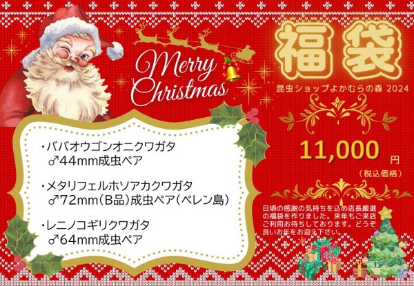 画像1: ■店舗限定■福袋11,000円（12月7日10時販売開始） (1)