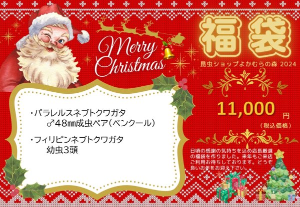 画像1: ■店舗限定■福袋11,000円（12月7日10時販売開始） (1)