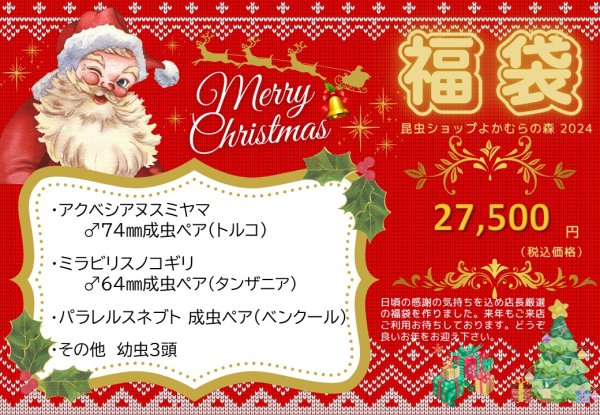 画像1: ■ネット限定■福袋27,500円（12月7日10時販売開始） (1)