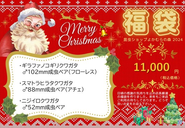 画像1: ■店舗限定■福袋11,000円（12月7日10時販売開始） (1)