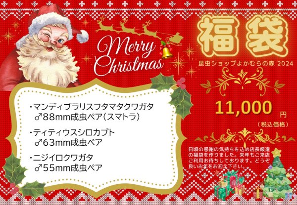 画像1: ■店舗限定■福袋11,000円（12月7日10時販売開始） (1)