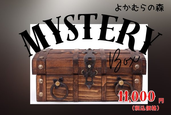 画像1: ■第1回よかむらの森イベント■　ミステリーボックス　２０２５年５月４日１３時から販売開始！！ (1)