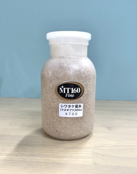 画像1: シワタケ(ブナクヌギ配合)菌糸ボトル　８５０ｃｃ (1)