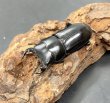 画像2: ツノボソオオクワガタ　♂３７ｍｍ／♀２７ｍｍ成虫ペア　 (2)