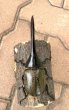 画像2: D.H.ヘラクレスオオカブト 　♂１５０ｍｍ／♀７３ｍｍ　成虫ペア  (2)
