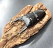 画像1: ダエダリオンヒラタ　♂６５ｍｍ／♀３２ｍｍ　成虫ペア　 (1)