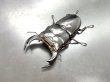 画像1: ブータンアンタエウス　♂８８ｍｍ／♀５３ｍｍ成虫ペア　 (1)