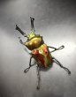 画像2: ニジイロクワガタ（レッドピカール血統）♂５４ｍｍ♀３６ｍｍ成虫ペア　 (2)