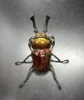 画像1: ニジイロクワガタ（レッドピカール血統）♂５６ｍｍ♀３７ｍｍ成虫ペア　 (1)