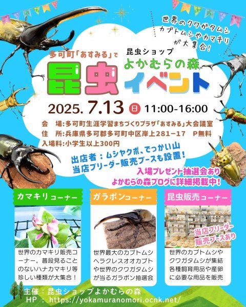 画像1: 7月13日イベント情報（開催の概要） (1)