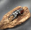 画像3: ドンキエルコクワガタ（原名亜種：赤ドンキ）　♂６６ｍｍ／♀４１ｍｍ成虫ペア　 (3)