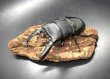画像1: パラワンヒラタ　♂９１ｍｍA'品／♀４８ｍｍ成虫ペア　 (1)