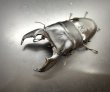 画像1: スマトラヒラタ（アチェ）　♂１０４ｍｍ／♀５５ｍｍ成虫ペア　 (1)