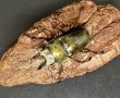 画像2: ローゼンベルグオウゴンオニクワガタ　♂５０ｍｍUP WILD成虫ペア　 (2)