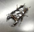 画像1: インドアンタエウス　♂７９ｍｍ／♀４４ｍｍ　成虫ペア　 (1)