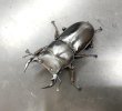 画像1: カミジョウオオクワガタ　♂５６ｍｍ／♀３８ｍｍ成虫ペア (1)
