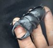 画像4: ■極太血統■ホペイオオクワガタ　♂７６ｍｍＢ品／♀４６ｍｍ　成虫ペア (4)