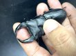 画像1: ■極太血統■ホペイオオクワガタ　♂７６ｍｍ／♀４６ｍｍ　成虫ペア (1)
