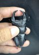 画像2: ■極太血統■ホペイオオクワガタ　♂７６ｍｍＢ品／♀４６ｍｍ　成虫ペア (2)