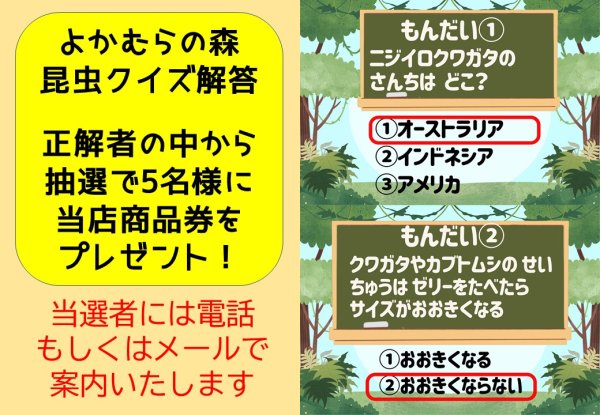 画像1: 昆虫クイズ解答（第3回よかむらの森昆虫イベント） (1)