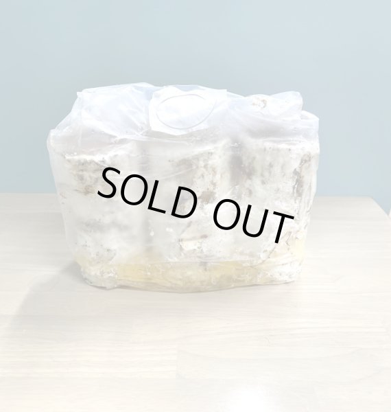 画像1: カワラ植菌材（S材３本入り） (1)