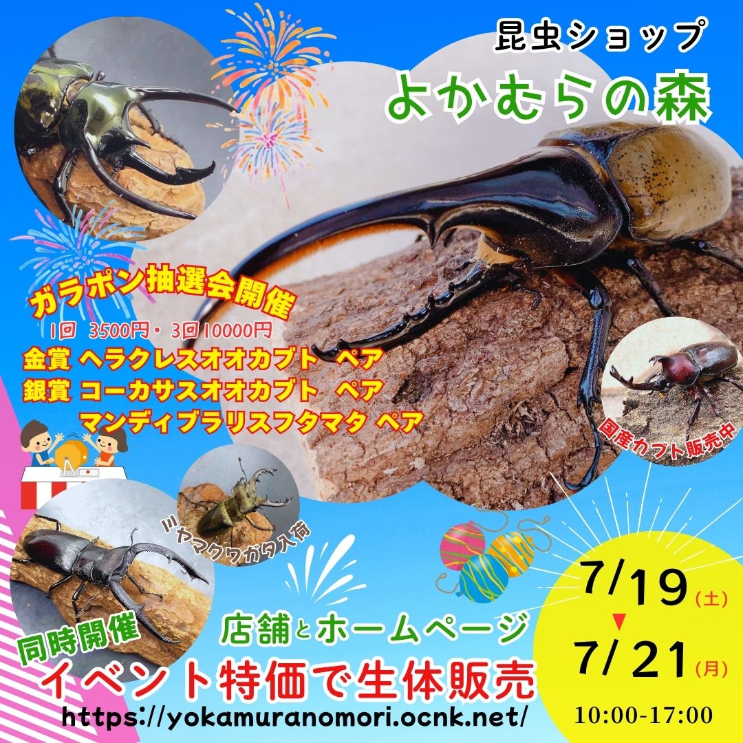 ７月２１日まではイベント価格で販売します！！