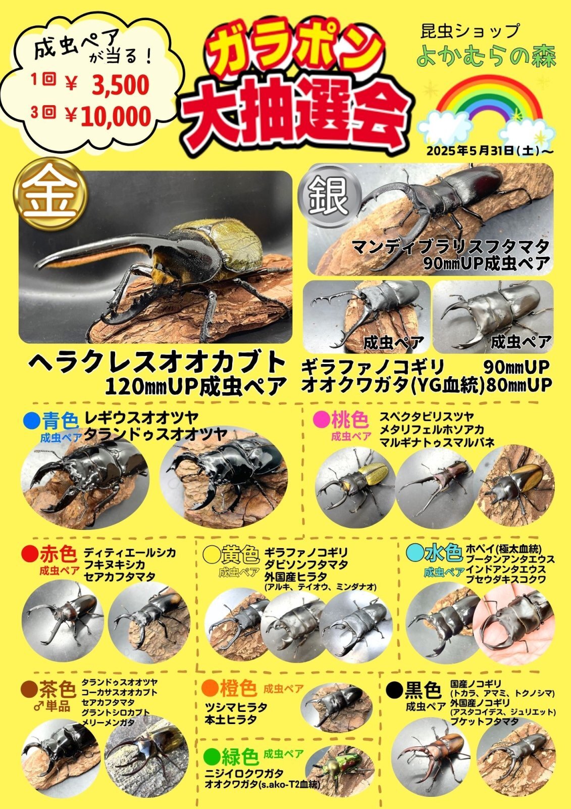 お歳暮 のし 昆虫ショップよかむらの森 邦楽