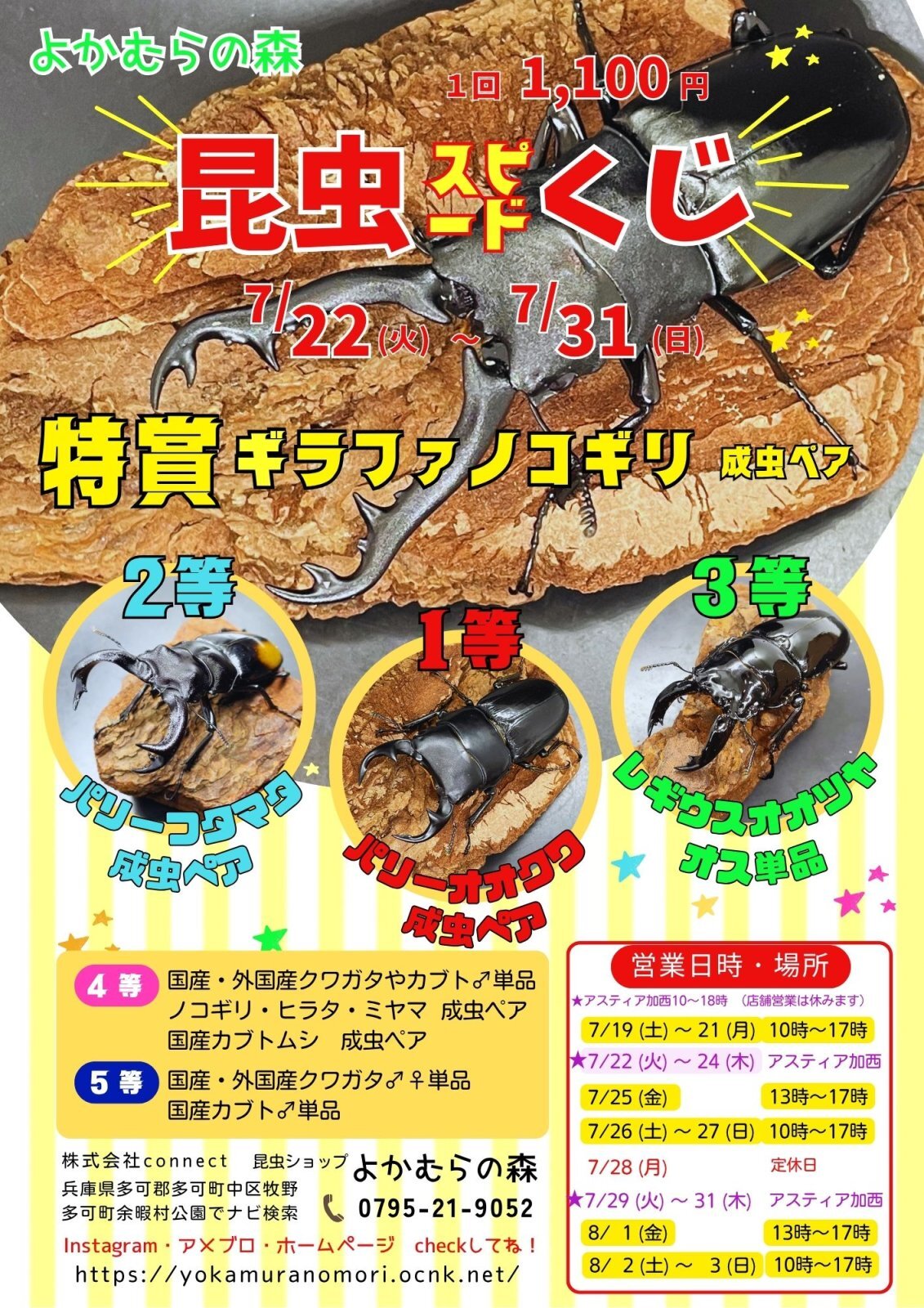 属夜鎮陽 / 西明石俗物園×東生駒珍物園 昆虫ショップよかむらの森